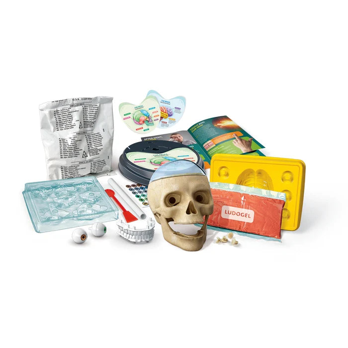 Science & Play Crazy Anatomy Laboratory
