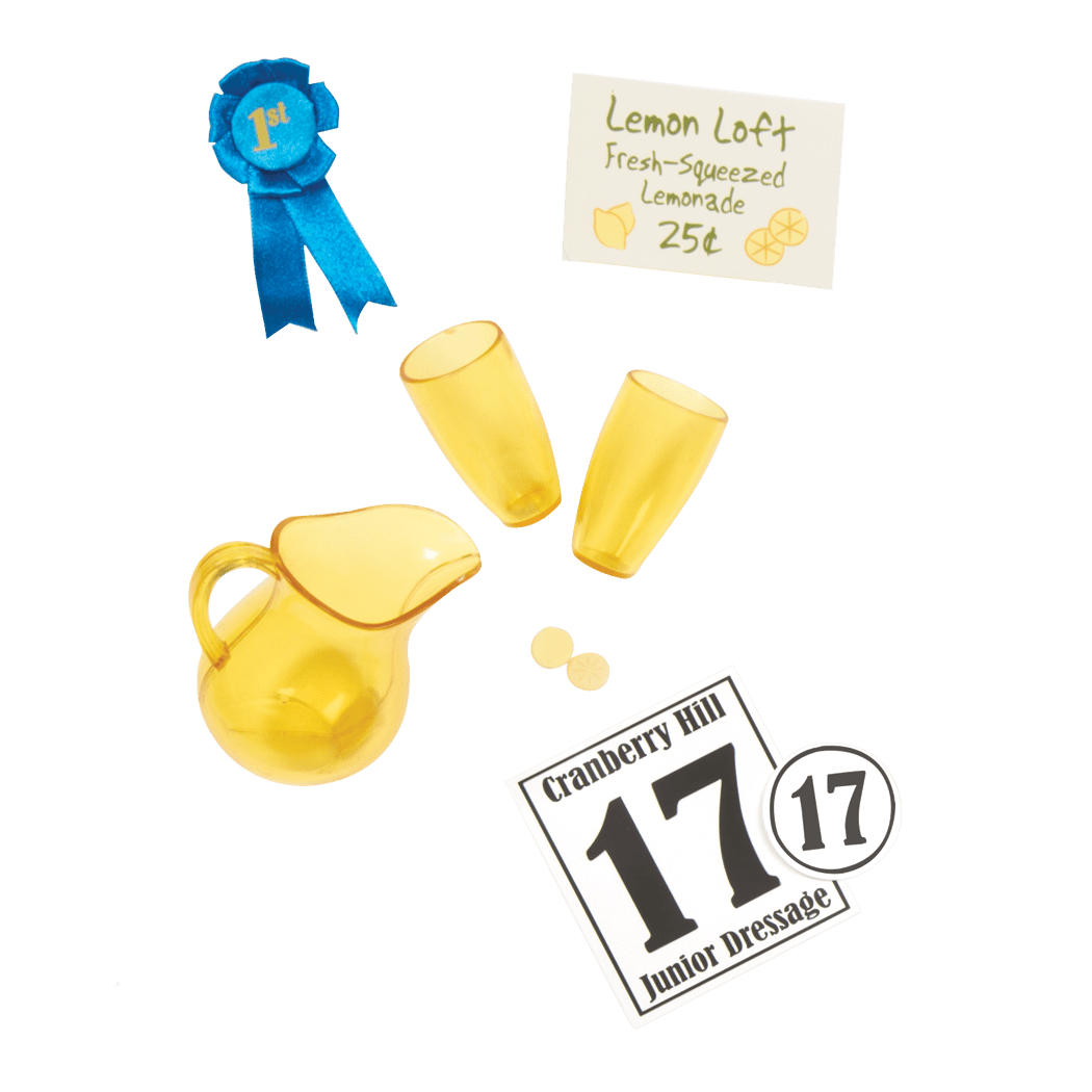 Lily Anna Equestrian Doll with Storybook